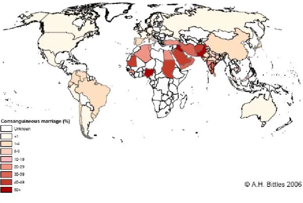 Figuur 1: Percentage consanguïne huwelijken wereldwijd (www.consang.net) 