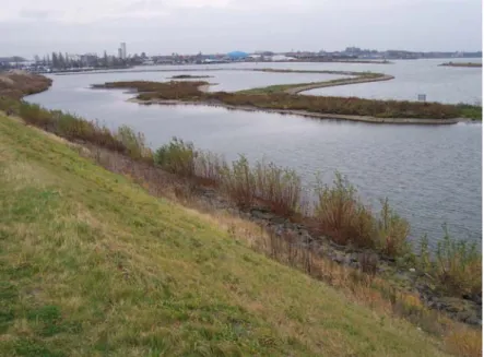 Figuur 3-1: Een voorbeeld van toepassen op bodem onder  oppervlaktewater: de aanleg van eilandjes bij Harderwijk (foto: 