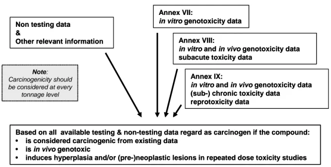 Figure 2: Proposed flow chart for carcinogenicity testing under REACH. (RIP 3.3-2 EWG 7  Report on Mutagenicity, fourth draft, February 2, 2007) 