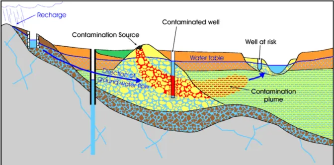 Figure 2.1 shows a plume (in red) of contaminated groundwater which moves in the direction  of a vulnerable object, a well