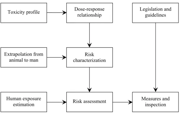 Figure 3. Schematic representation of the risk assessment paradigm. 