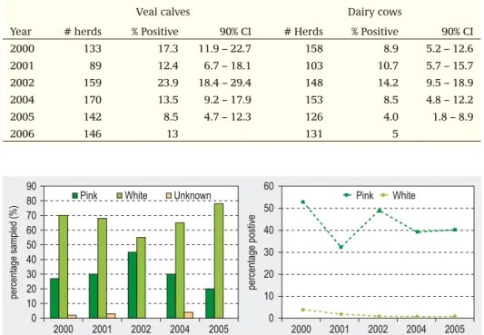 Figure 4.8.1. Distribution of herds of pink veal calves and white veal calves in the sample per year  (A) and the percentage of positive herds per type of veal calves per year (B)