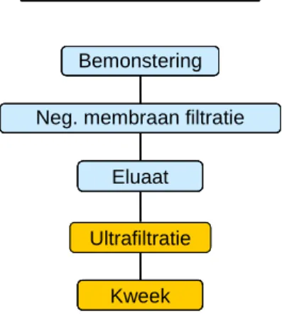 Figuur 1: Schematische weergave van de opeenvolgende filtratiestappen voor de concentratie van virussen  in water