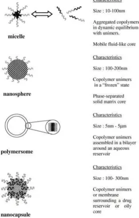 Figure 3.2: Nanoparticulate drug delivery systems formed by amphiphilic copolymers and their general  characteristics