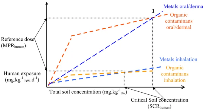 Figure 2.2: The derivation of the risk limit depends on inhalative and oral uptake. Organic  contaminans oral/dermal  Metals oral/dermalMetals inhalationOrganic contaminans inhalation 