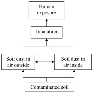 Figure 3.3: Routes of exposure via soil  inhalation. 