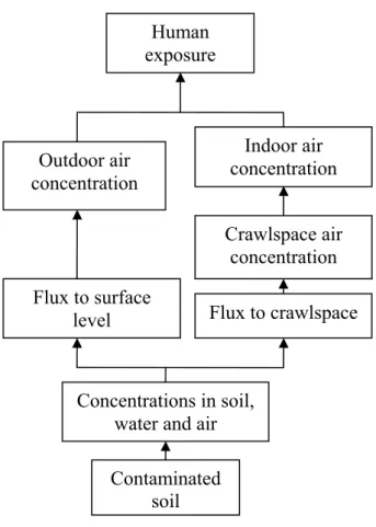 Figure 3.5: Routes of exposure via  inhalation of volatile compounds. 