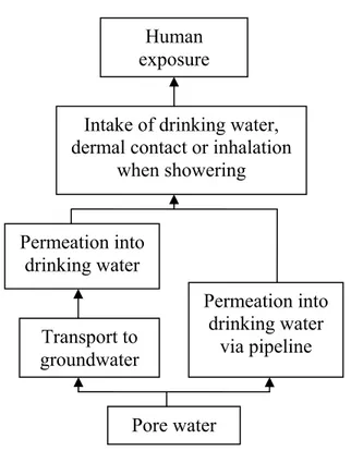 Figure 3.6:  Routes of exposure via  drinking, inhalation, dermal contact 