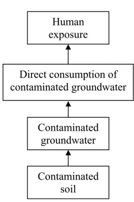 Figure 3.9: Route of exposure via  direct consumption contaminated 