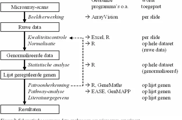 Figuur 2: Schematische weergave data-analyse van een microarray-experiment. 