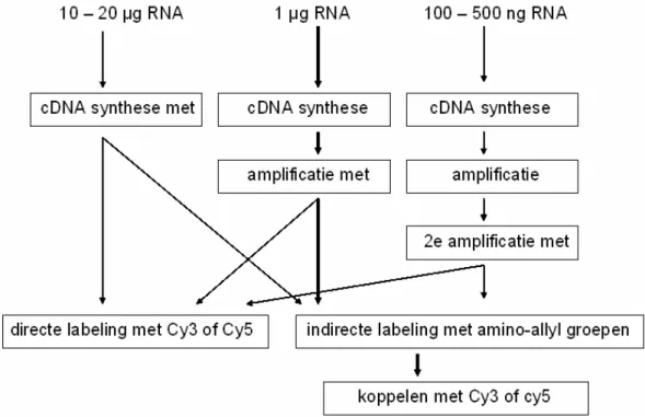 Figuur 4: Workflow voor amplificatie en labeling van RNA, uitgaande van verschillende hoeveelheden  uitgangsmateriaal