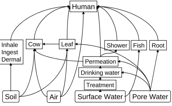 Figuur 3. Blootstellingsroutes in HUMANEX 