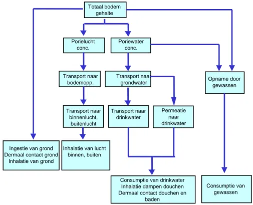 Figuur 6. Blootstelling routes humaan voor standaard bodemgebruikvormen volgens het CSOIL- CSOIL-model (Otte et al