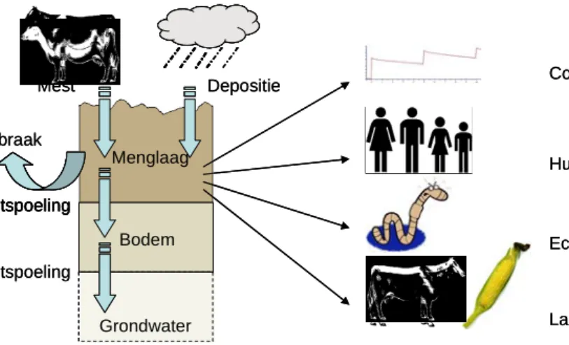 Figuur 2. Conceptueel systeemmodel voor het ontwerpen van een beslismodel voor verspreiding van  baggerspecie op land, gebaseerd op lokatiespecifieke beoordeling van stofgedrag en risico’s en een  aantal beleidsmatige besliscriteria