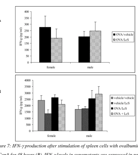 Figure 7: IFN- γ  production after stimulation of spleen cells with ovalbumin for 96 hours (A)  or ConA for 48 hours (B)