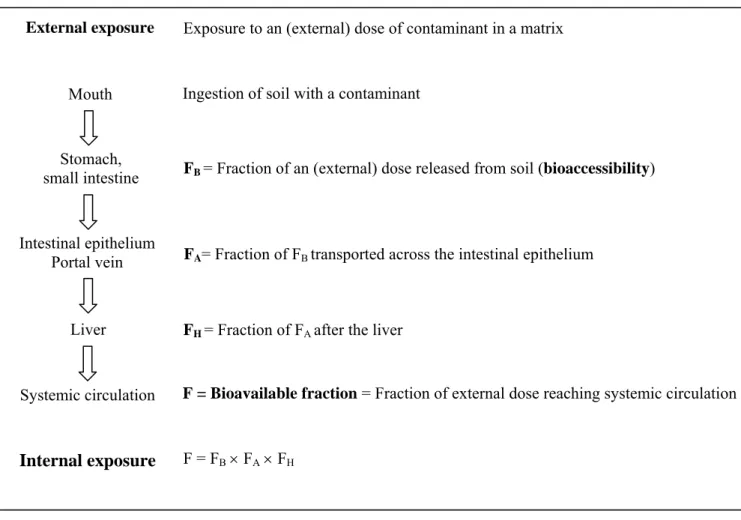 Figure 2. Various steps of oral bioavailability (F) of a contaminant from soil. 