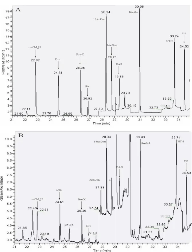 Figure 2:  Chromatograms of a silylated calibrant solution of trichothecenes (A) and of a  silylated duplicate diet sample with addition of standard solution (about 1 μg/kg)  (B)