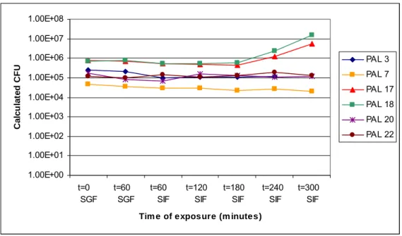 Figure A.3.7.  Behaviour of spores from psychrotrophic strains in complete simulated  intestinal fluid after exposure to pH 2.5 in simulated gastric fluid