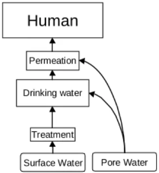 Figure 8. Route of  exposure through drinking  water.