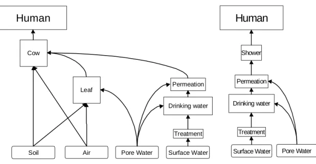 Figure 10. Route of exposures through the cow derived products meat  and milk.  HumanShowerPermeation Drinking waterTreatment