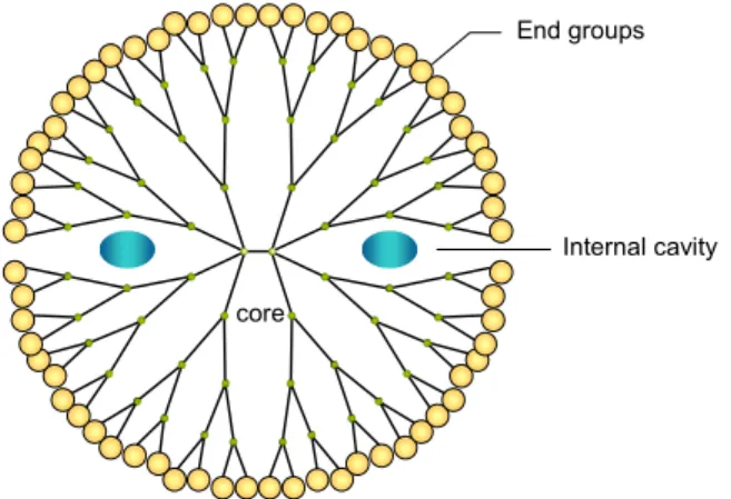 Figure 7. Schematic representation of a dendrimer. The dendrimer is built from an  initiator core in sequential shells, called generations (depicted is a 4 th  generation)