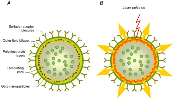 Figure 10. Schematic representation of an optically addressable nano-structured capsule for  controlled delivery