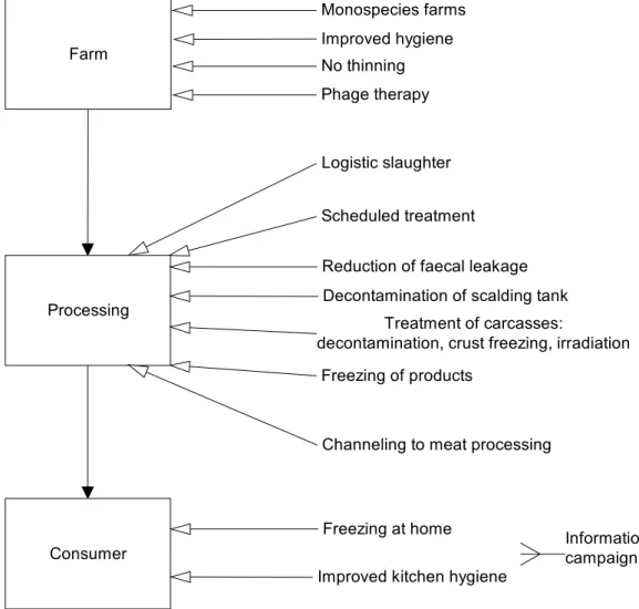 Figure 2. Evaluated interventions in the broiler chicken meat chain. 