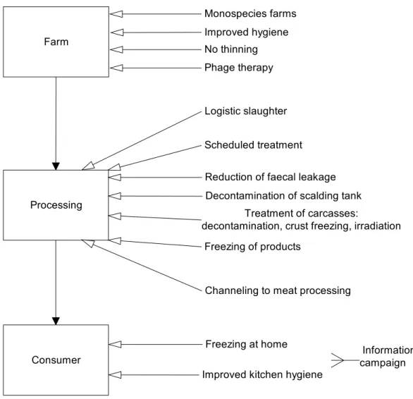 Figure 3.8 An overview of the evaluated interventions in the broiler meat production chain