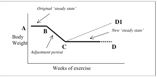 Figure 5. Schematic diagram to illustrate the theoretical impact of exercise on body weight