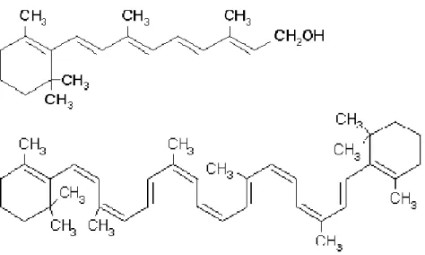 Figuur 2.1:  Structuurformules van all-trans retinol (boven) en  β -caroteen (onder) 