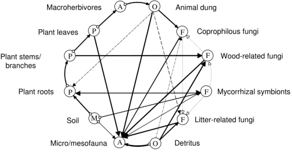 Figure 6. Energy flow and feedbacks (Mulder and De Zwart, 2003). 