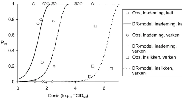 Figuur 4   Dosis-respons curve van kalveren (5 van 43 – 60 kg en 28 van 109 – 166 kg)  blootgesteld aan kunstmatige aërosolen met MKZ-virustype O 1  BFS 1860 en  natuurlijke aerosolen met MKZ-virustype SAT2 SAR 3/79 (Donaldson et al., 1987); 