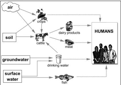Figure 1 Indirect human exposure routes via the environment.