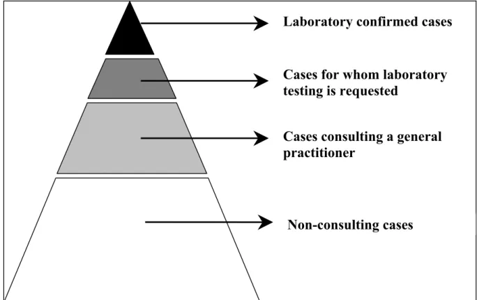 Figure 2.1. Pyramid of sources for surveillance of gastro-enteritis (Source: De Wit, 2002) In this study we had to use different data sources in order to obtain the best possible estimate for annual incidences of acute gastro-enteritis (GE), ReA, GBS and I