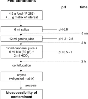 Figure 5. Schematic representation of experimental conditions of in vitro digestion model simulating fed conditions to use as test procedure.