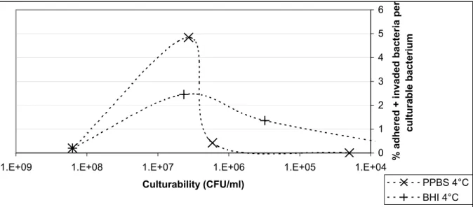 Figure 6. The percentage of invading plus adhering bacteria relative to the number of culturable bacteria during storage at 4 °C  in PPBS or BHI
