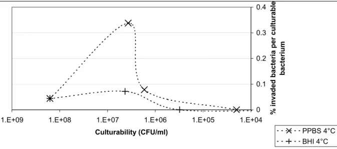 Figure 7. The percentage of invading bacteria relative to the number of culturable bacteria during storage at 4 °C in PPBS or BHI
