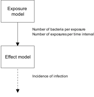 Figure 2. The relationship between exposure modelling and effect modelling.