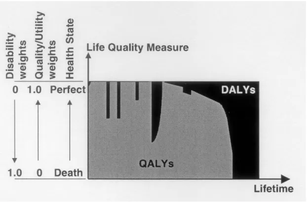 Figure 5. Graphical illustration of DALY and QALY metrics (Source: Hofstetter and Hammitt, 2002) Figure 5 illustrates the difference in reference point for DALYs and QALYs
