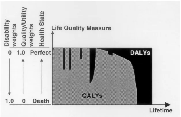 Figure A1. Graphical illustration of a health profile and its measurement by quality adjusted life years (QALYs, gray area) and disability adjusted life years (DALYs, black area) (Source: Hofstetter and Hammitt, 2002)