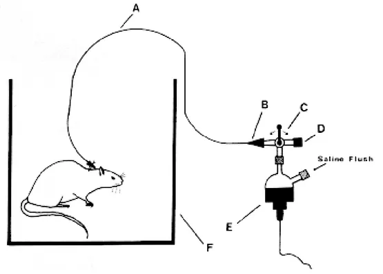 Figure 4: Recording system: A+B: extension device, C: three-way stopcock, D: heparin lock, E: transducer, F:
