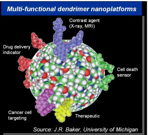 Figure 2.2: Nanoplatform combining modalities for targeting, imaging, therapy and  monitoring of cancer diagnosis and treatment