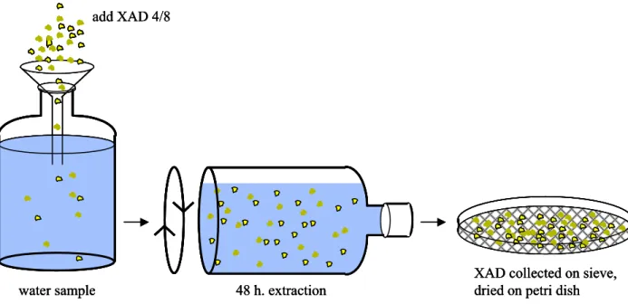 Figure 3-1. Extraction of substances from water with XAD 4 and 8. After the extraction period the XAD was dried  on a Petri dish