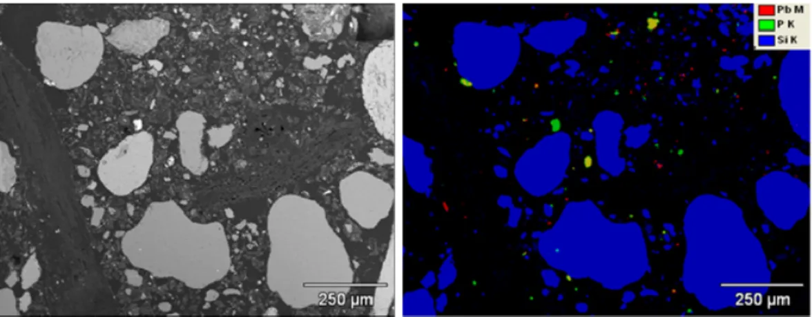 Figure A6: Element map of soil Sample 29 (red=Pb; green=P; blue=Si; yellow=Pb+P; purple=Pb+Si; light  blue=P+Si)