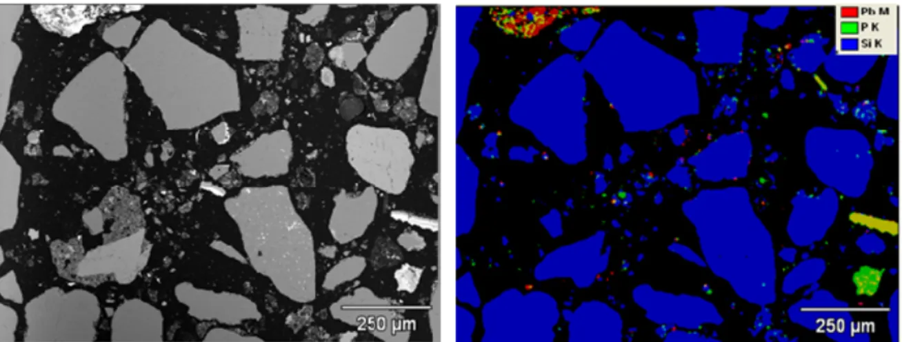 Figure A7: Element map of soil Sample 33 (red=Pb; green=P; blue=Si; yellow=Pb+P; purple=Pb+Si; light  blue=P+Si)