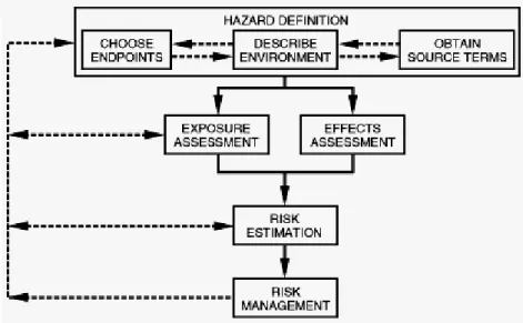 Figure 2. General risk assessment paradigm (modified from Suter (1993)) 