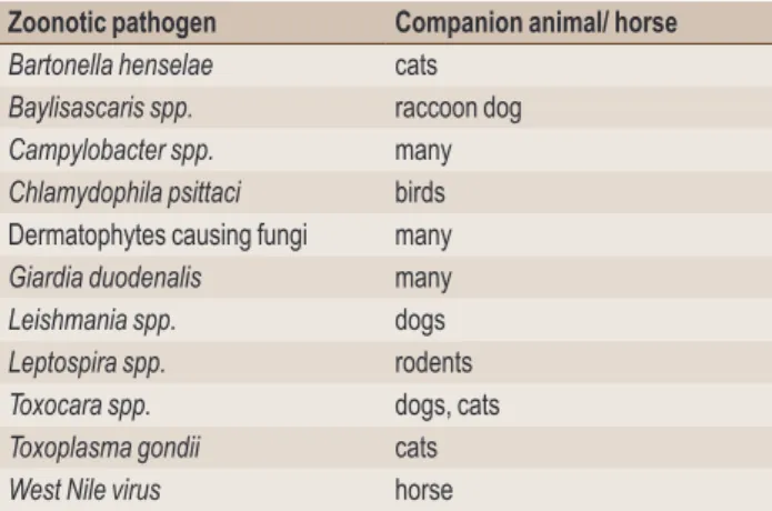 Table 7. List of illustrative zoonotic pathogens considered in  companion animals and horses (comprehensive list see 3).
