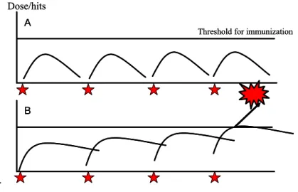 Figure 1: (A) Example of responses after repeated exposure to a dose that does not cumulate and will not reach the  threshold for the induction of an immune response