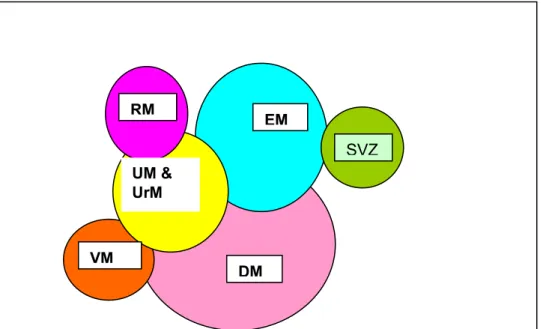 Figuur 4.2.A Schematische voorstelling van overlap van groepen bedrijven die participeren in verschillende  deelprogramma’s 