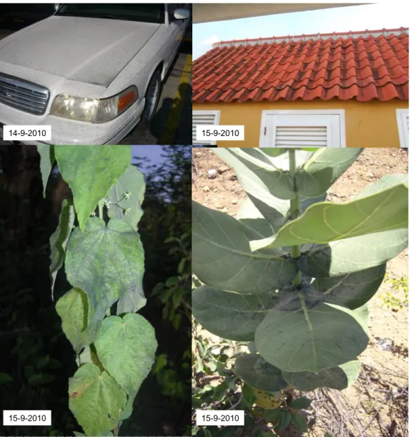 Figure 9 Pictures taken on various days after the fires, illustrating soot depositions on various  materials
